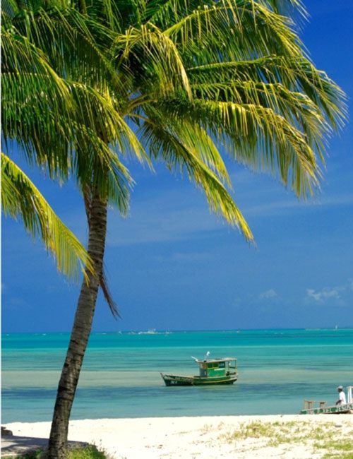 CBA Maceió - 2021