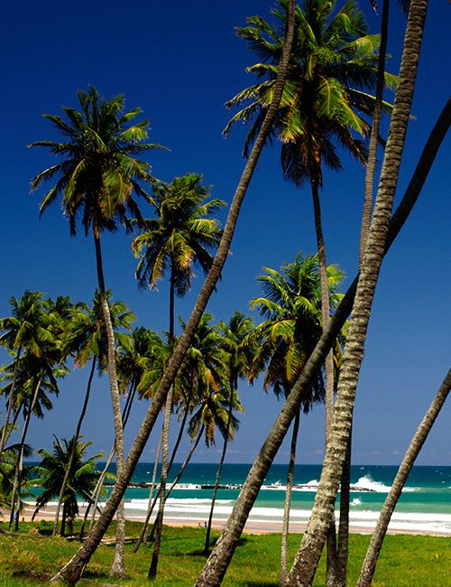 CBA Maceió - 2021